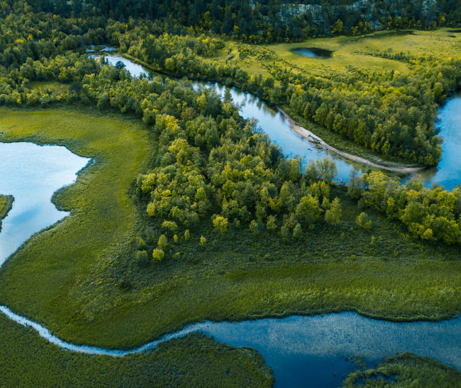 skog, å, vatten, uppifrån, slingrande, träd, natur, 1176867660