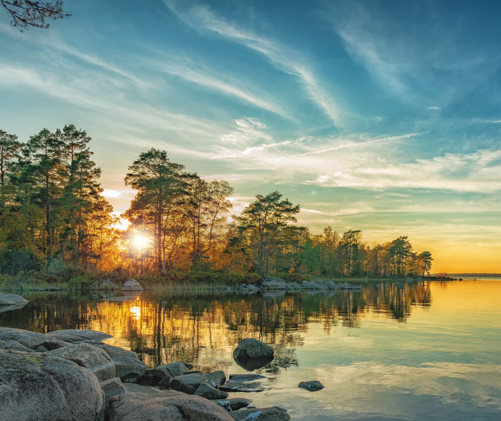träd, kväll, vår, naturlig, vy, vacker, moln, bakgrund, scen, solsken, lugn, ljus, grön, färg, ...