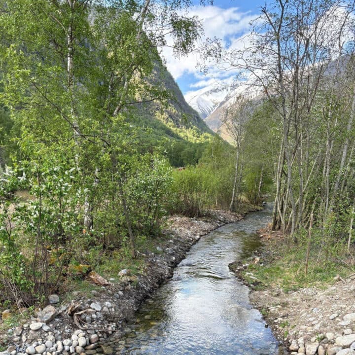 Återställning av älv i Norge gynnar vildlaxen med Bra Miljöval Miljöfond