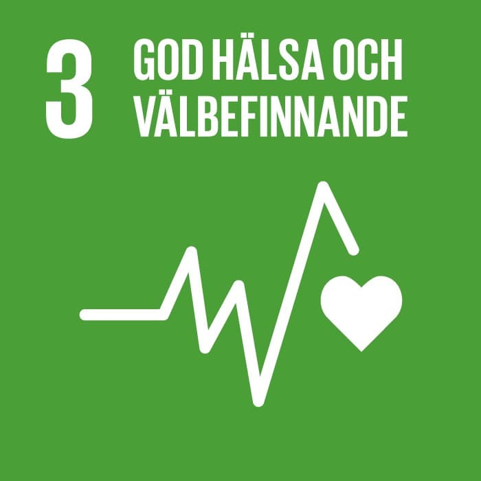 Globala målen mål 3