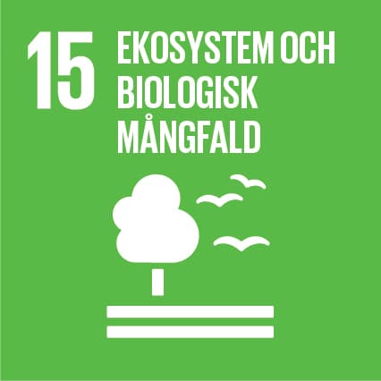 Bilden visar en ikon för mål 15 i FN:s globala mål för hållbar utveckling, som handlar om ekosystem ...