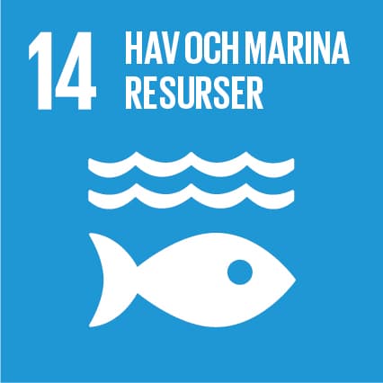 Bilden visar en symbol för mål 14 i FN:s globala mål för hållbar utveckling, som handlar om att ...