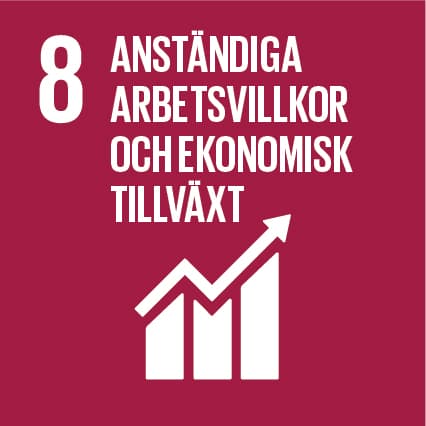 Bilden visar mål 8 från FN:s globala mål för hållbar utveckling, som fokuserar på anständiga ...
