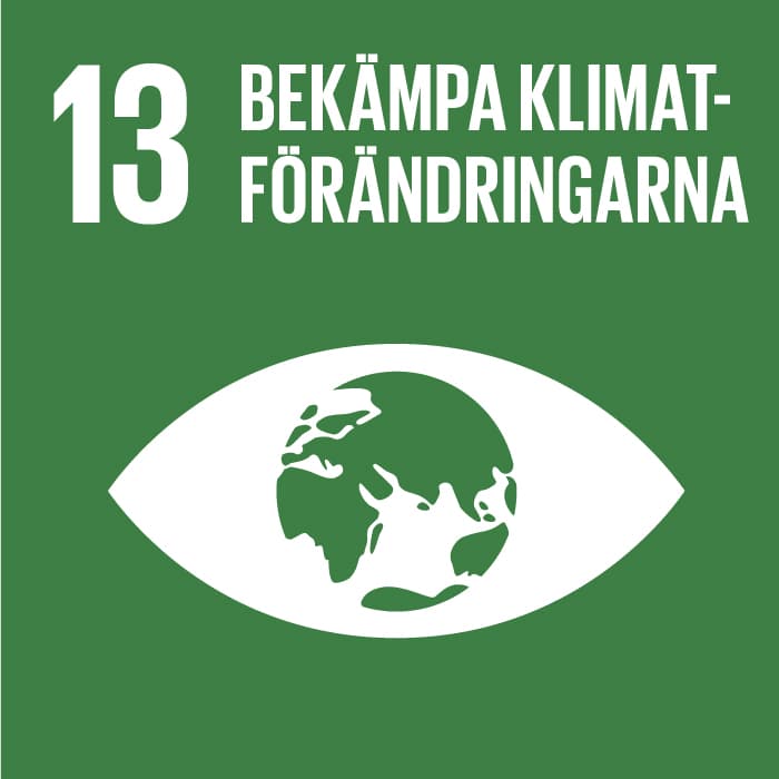 Bilden visar en grön bakgrund med texten &#34;13 Bekämpa klimatförändringarna&#34; och en symbol av ...