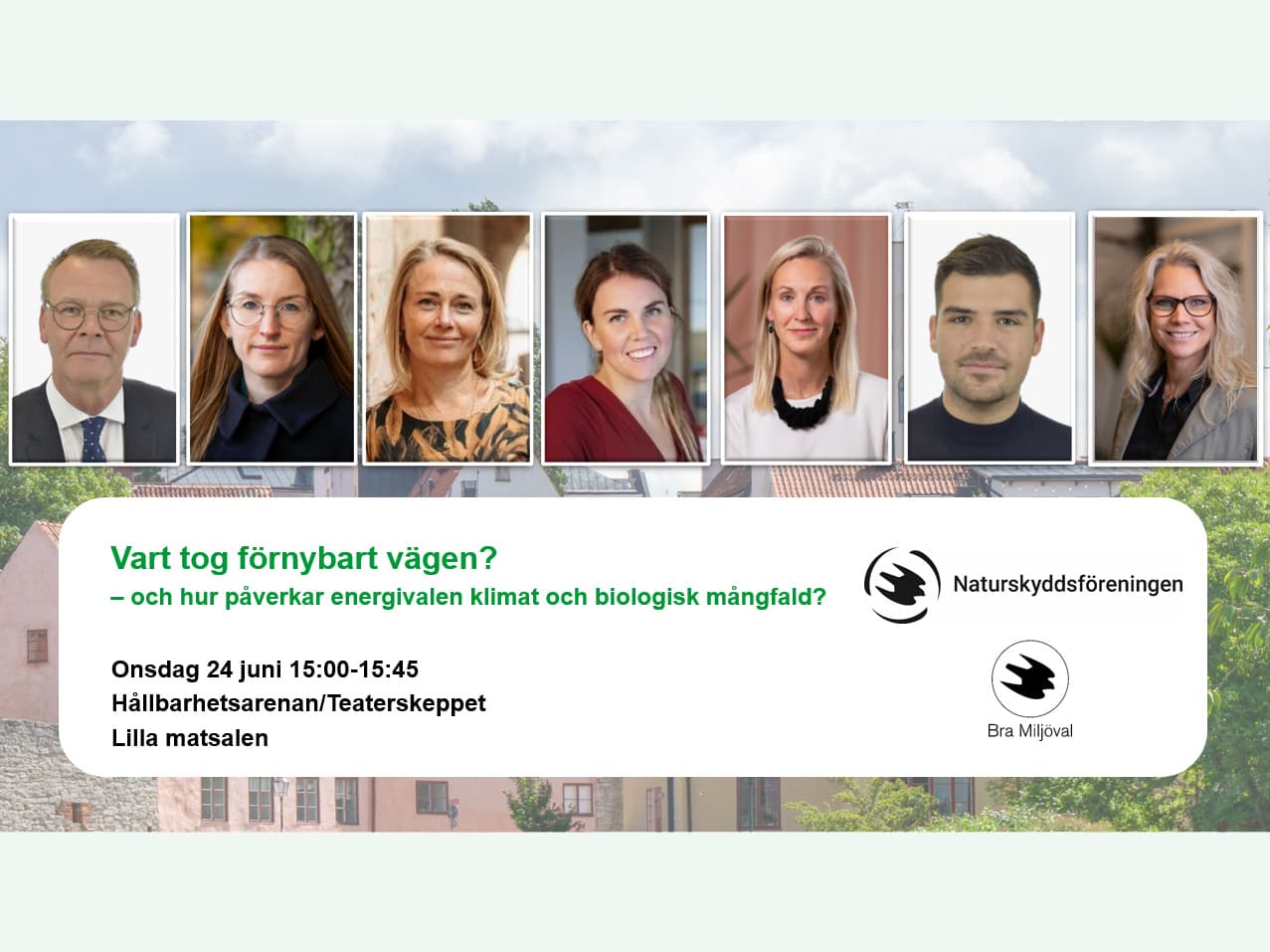 panel Vart tog förnybart vägen