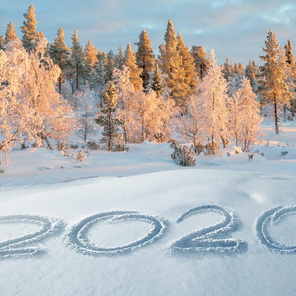2020, snö, vinter, nyår, träd, natur, firande, fira, segrar, år, solnedgång, 1180961371