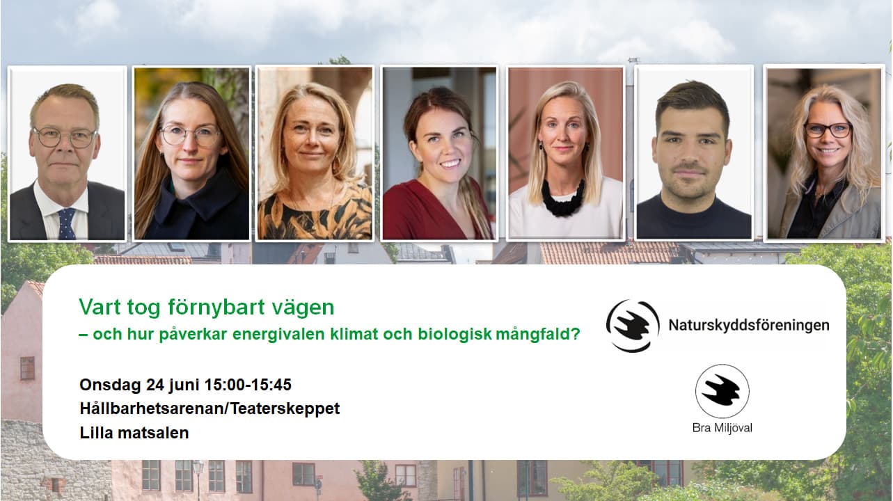 Panel Almedalen - vart tog förnybart vägen?