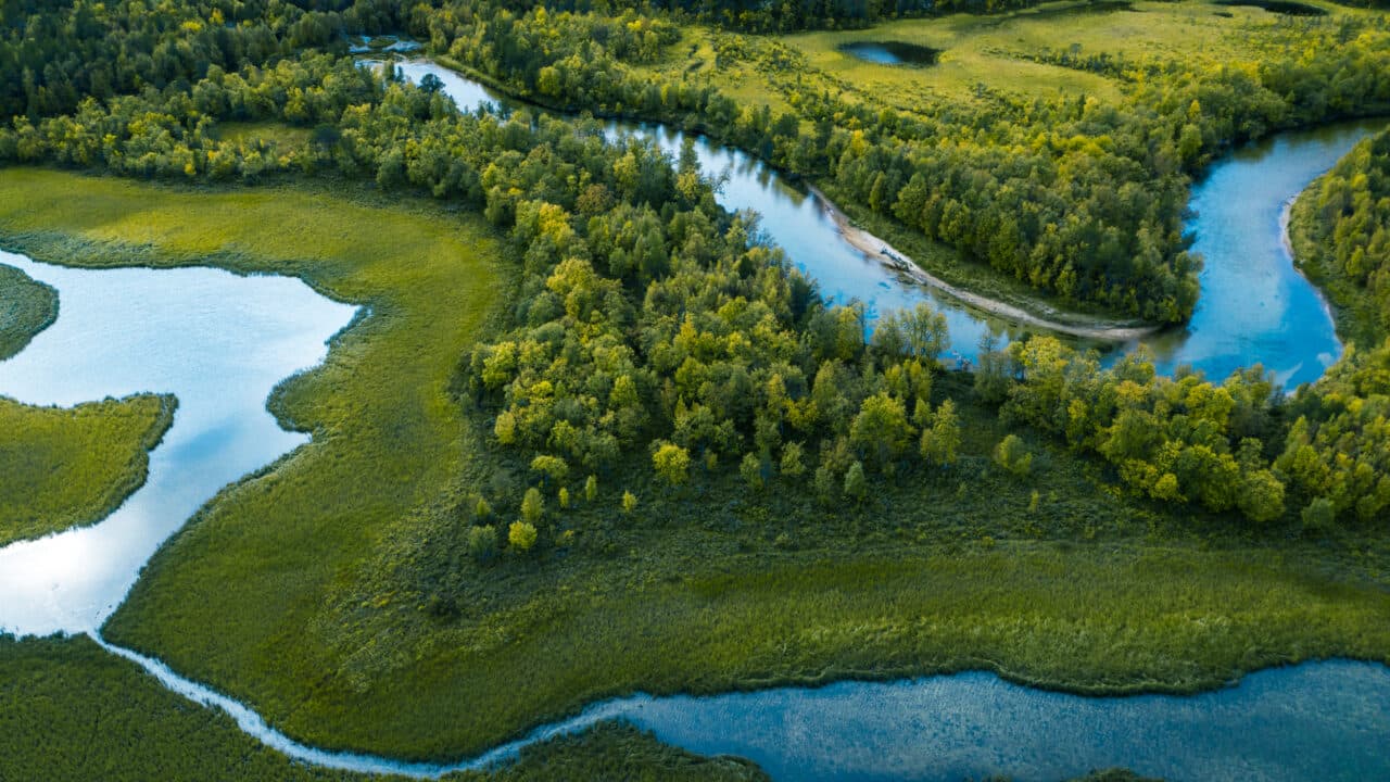 skog, å, träd, vatten, ovanifrån, grönt, våtmark, 1176867660